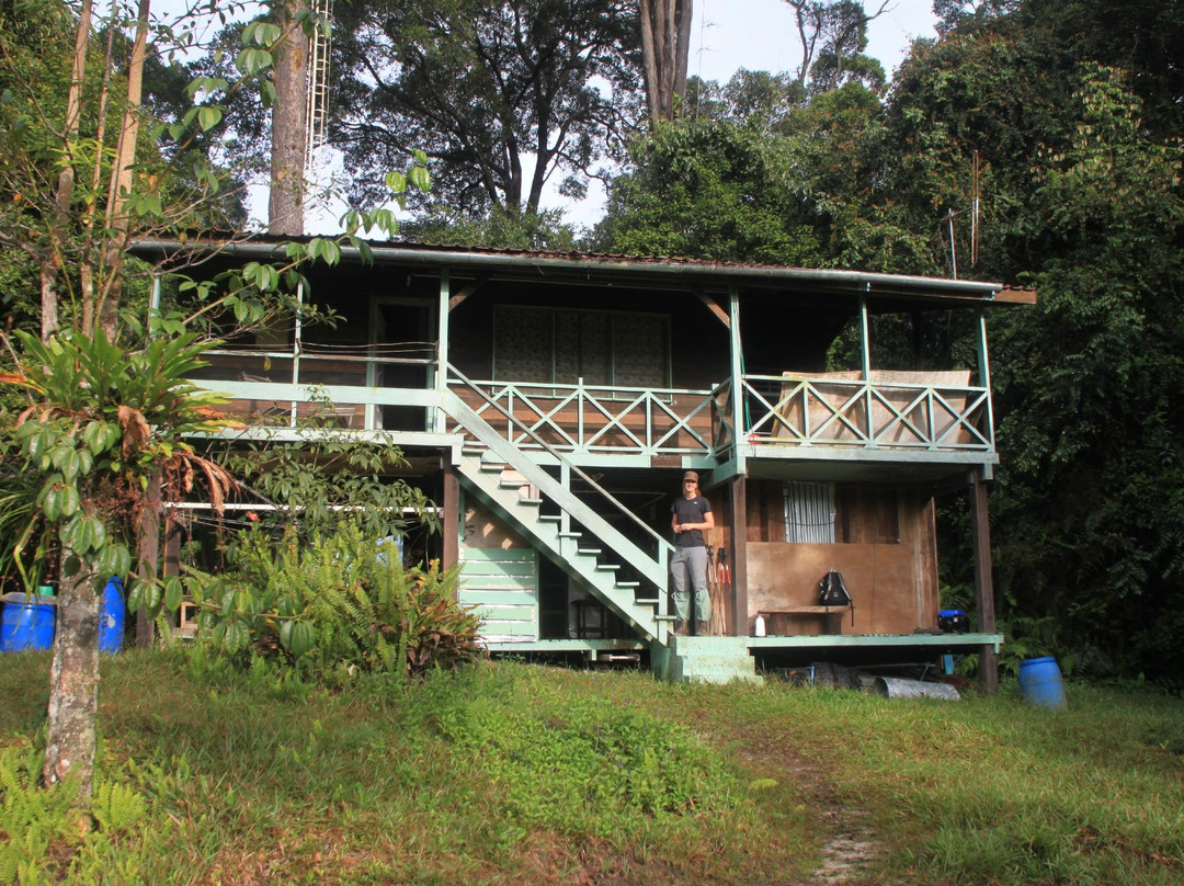 Maliau Basin Conservation Area-斗湖必去景点