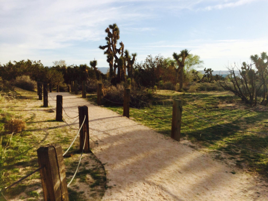 Prime Desert Woodland Preserve-兰开斯特必去景点