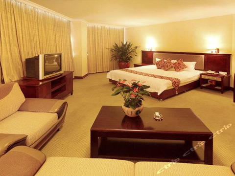 皇都国际酒店(佛山祖庙朝安地铁站店)主图