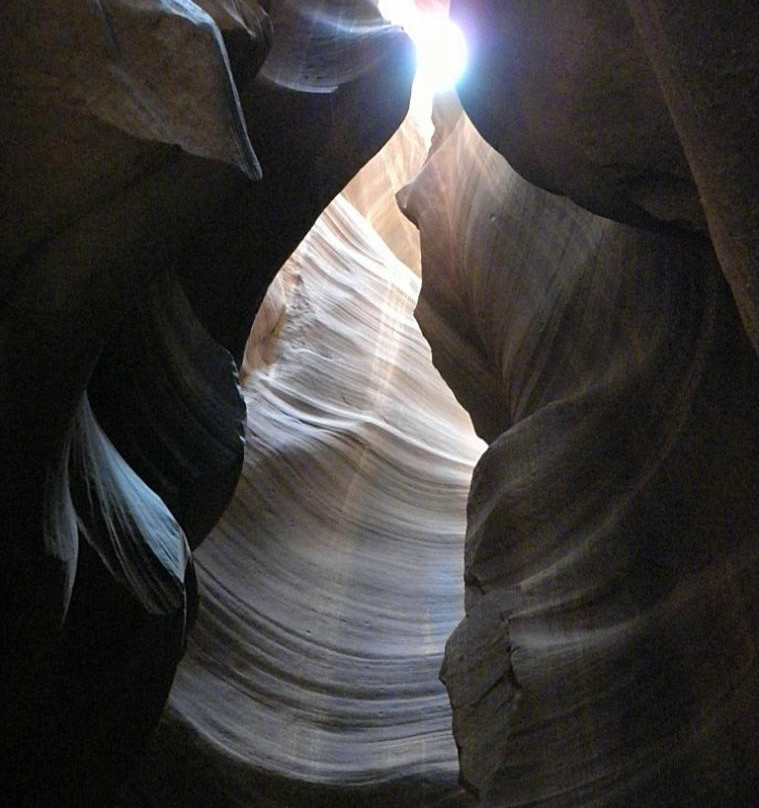 Carolene Ekis-佩吉必去景点