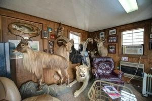 Cavalier Sporting Clays-Montpelier必去景点