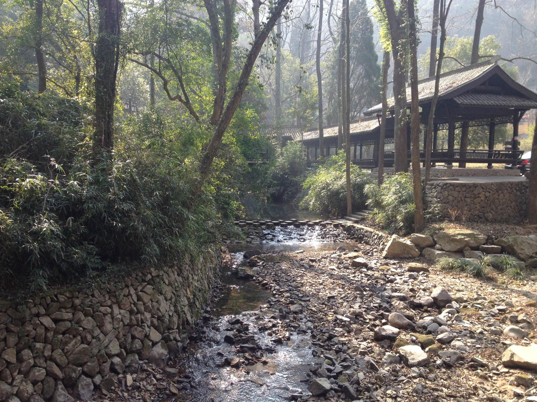 青田石门洞森林公园-青田县必去景点