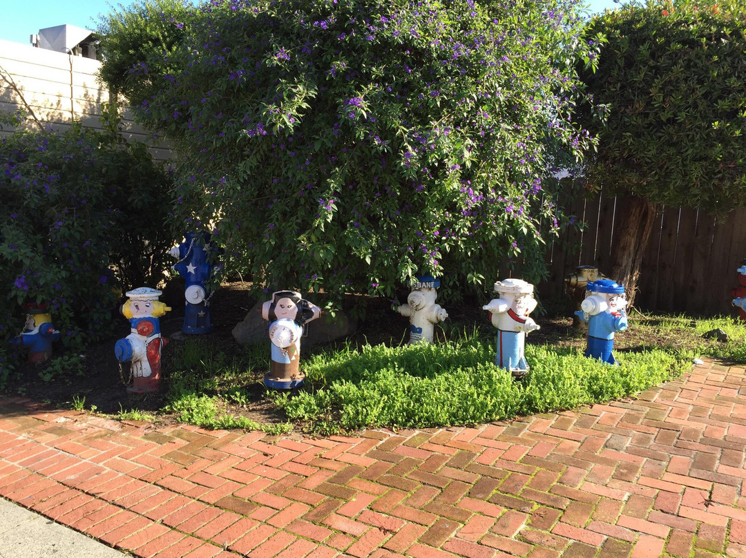 Fire Hydrant Plug Preserve-布里斯班必去景点