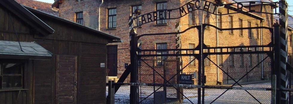 Private Auschwitz Guide By Piotr Malarek景点图片