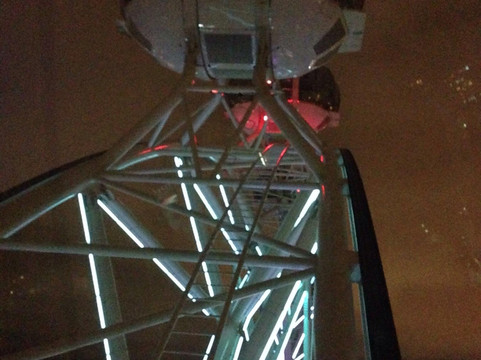 墨尔本观星摩天轮-墨尔本必去景点