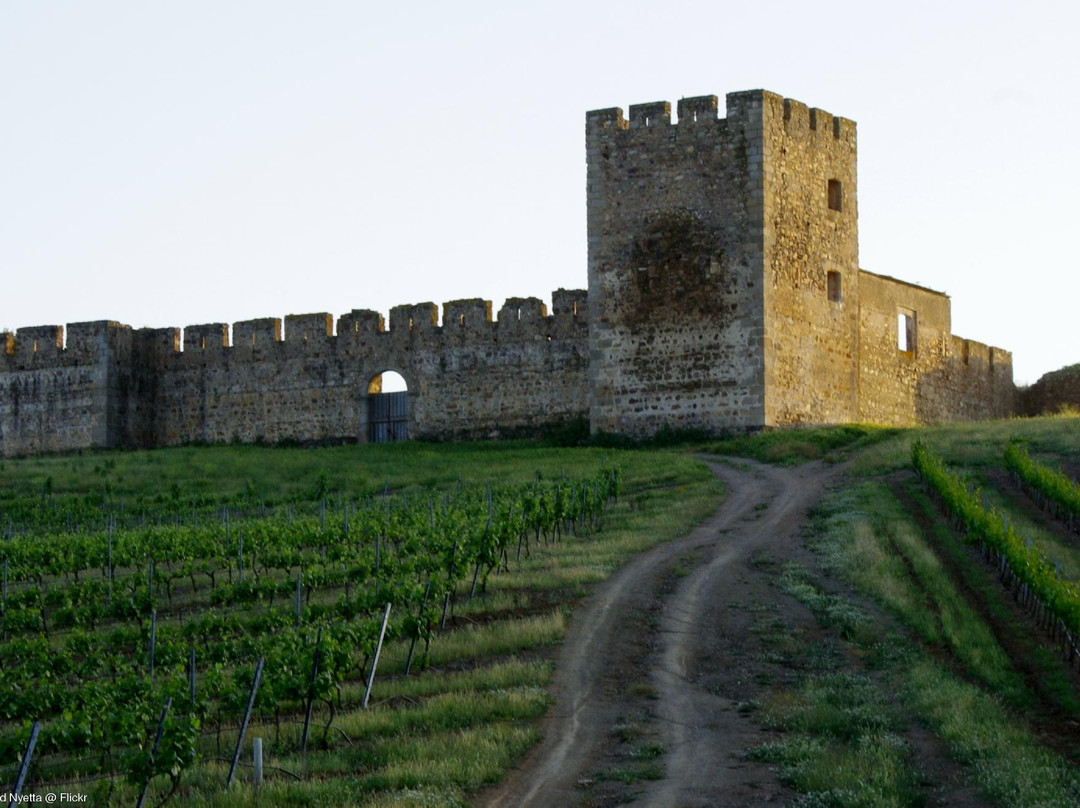 Sao Pedro de Gafanhoeira旅游景点-Castle of Valongo
