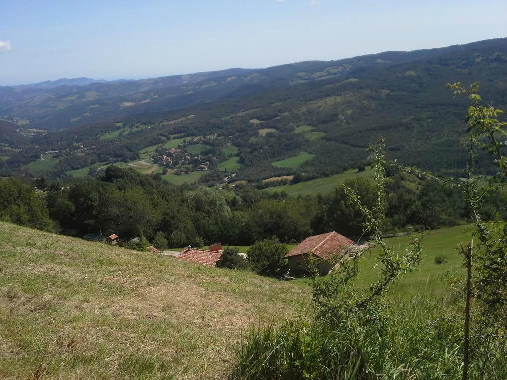 B&B Il Confine主图