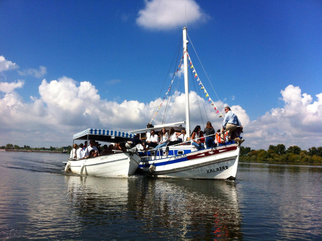 Ollem Turismo Fluvial景点图片