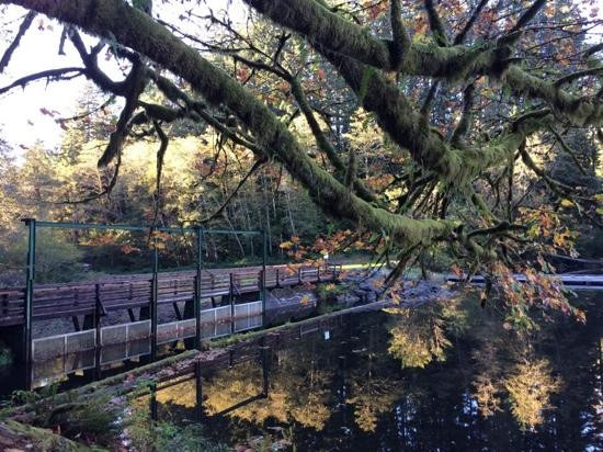 Lake Sylvia State Park景点图片
