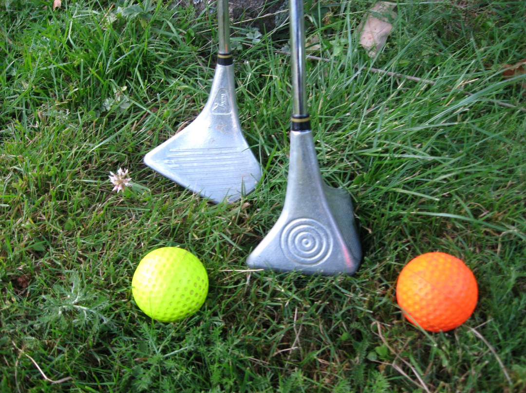 Swin Golf De La Roche景点图片
