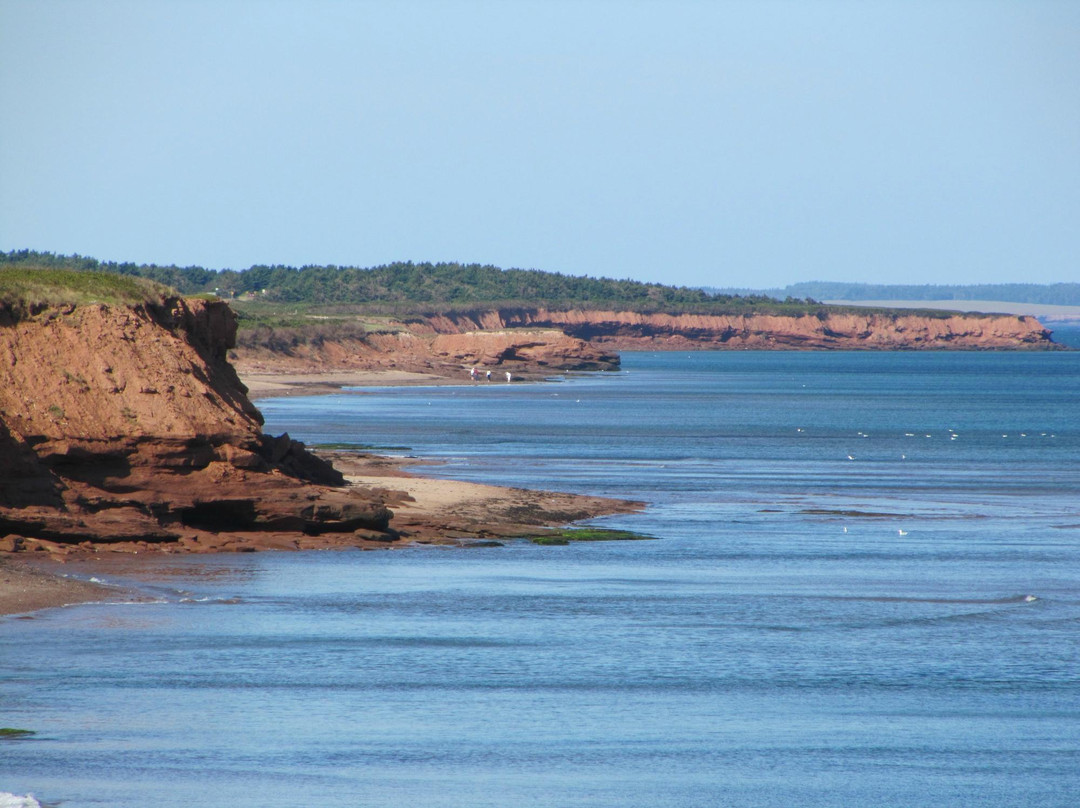 Rusty Rover Tours-夏洛特镇必去景点