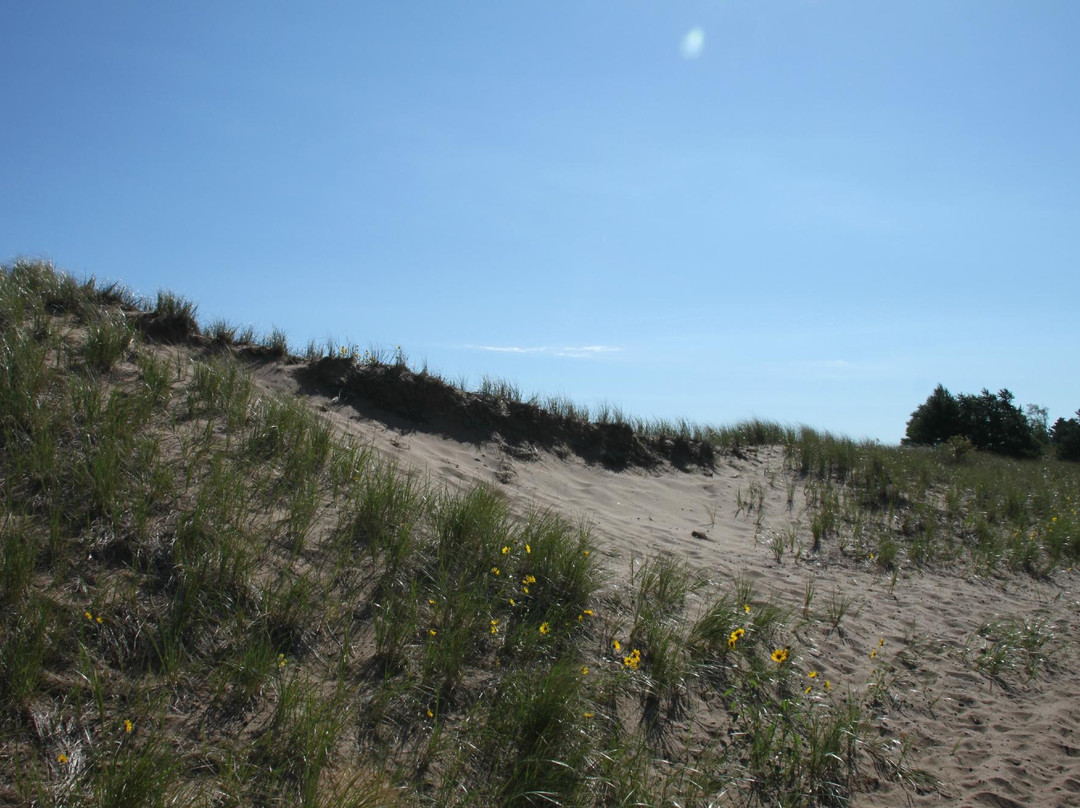 Park Point Nature Trail-德卢斯必去景点