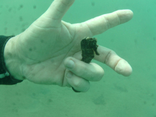 Caribe Aquatic Adventures-圣胡安必去景点