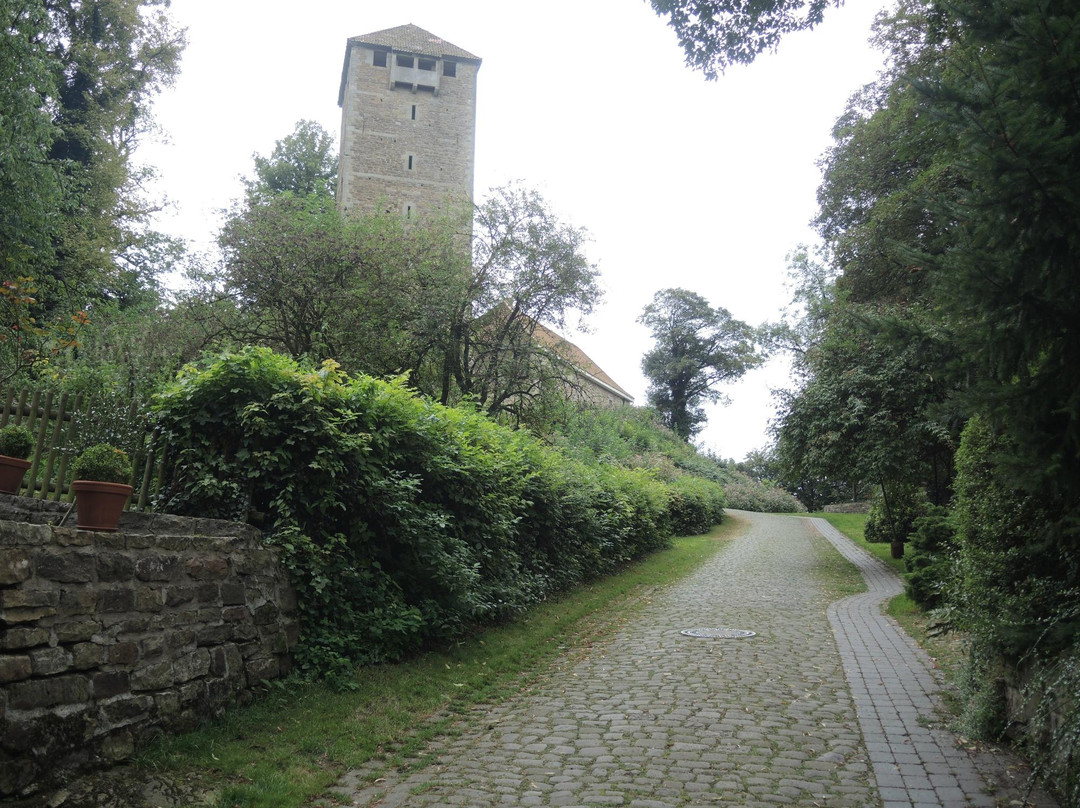 Burg Schaumburg景点图片