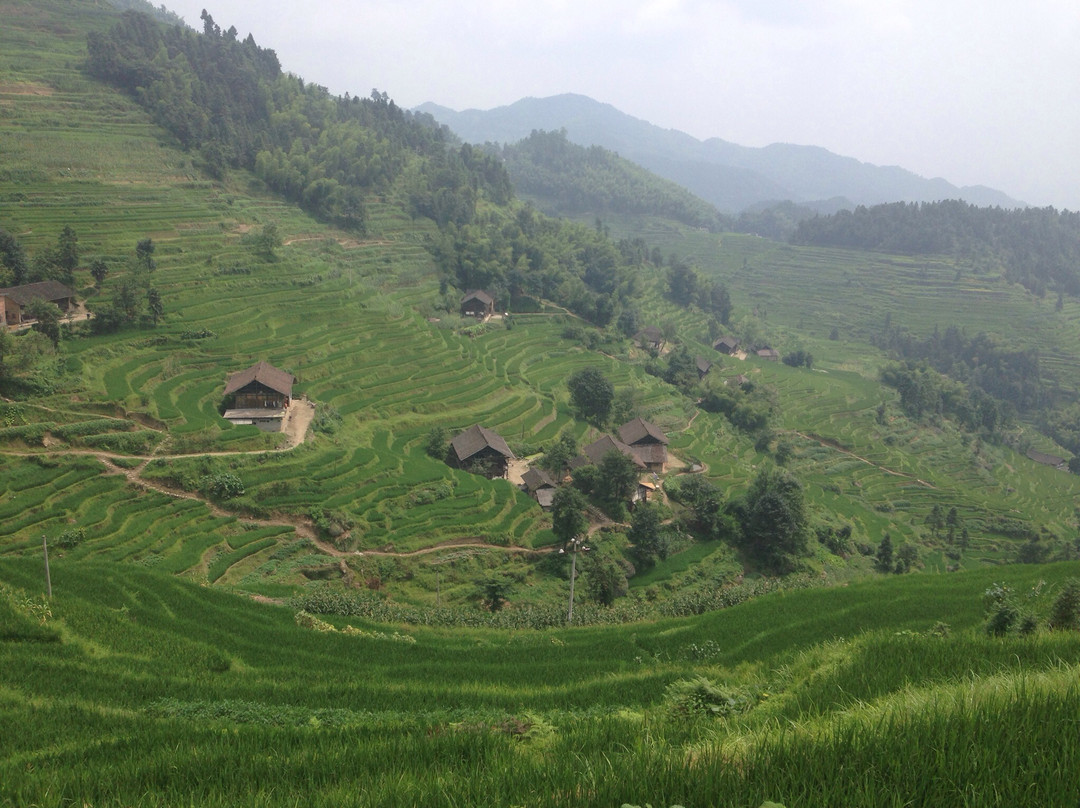 紫鹊界梯田国家级风景区-新化县必去景点