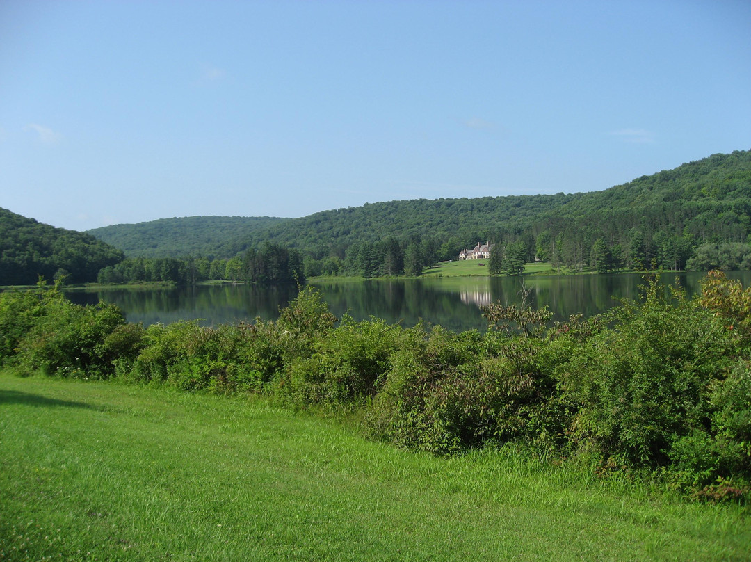 Allegany State Park景点图片