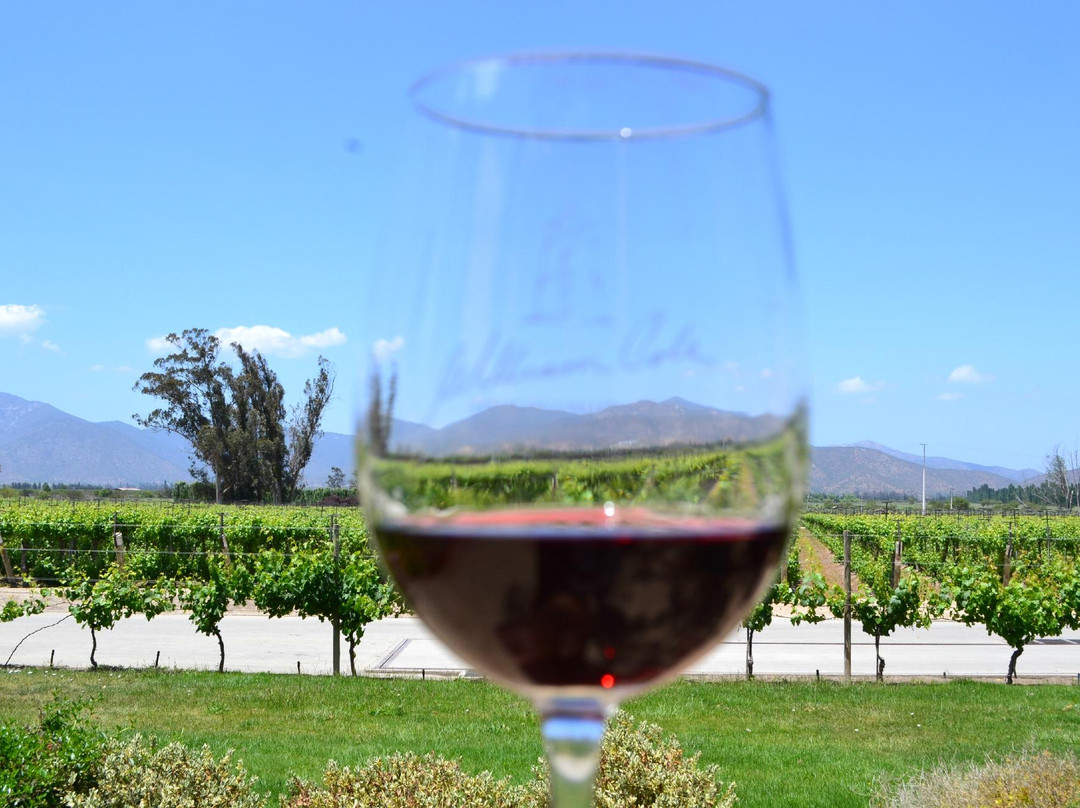 William Cole Vineyards-卡萨布兰卡必去景点