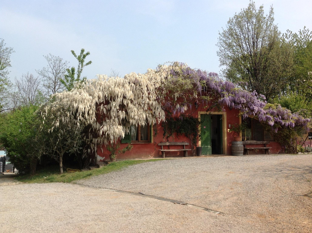橄榄园农庄酒店