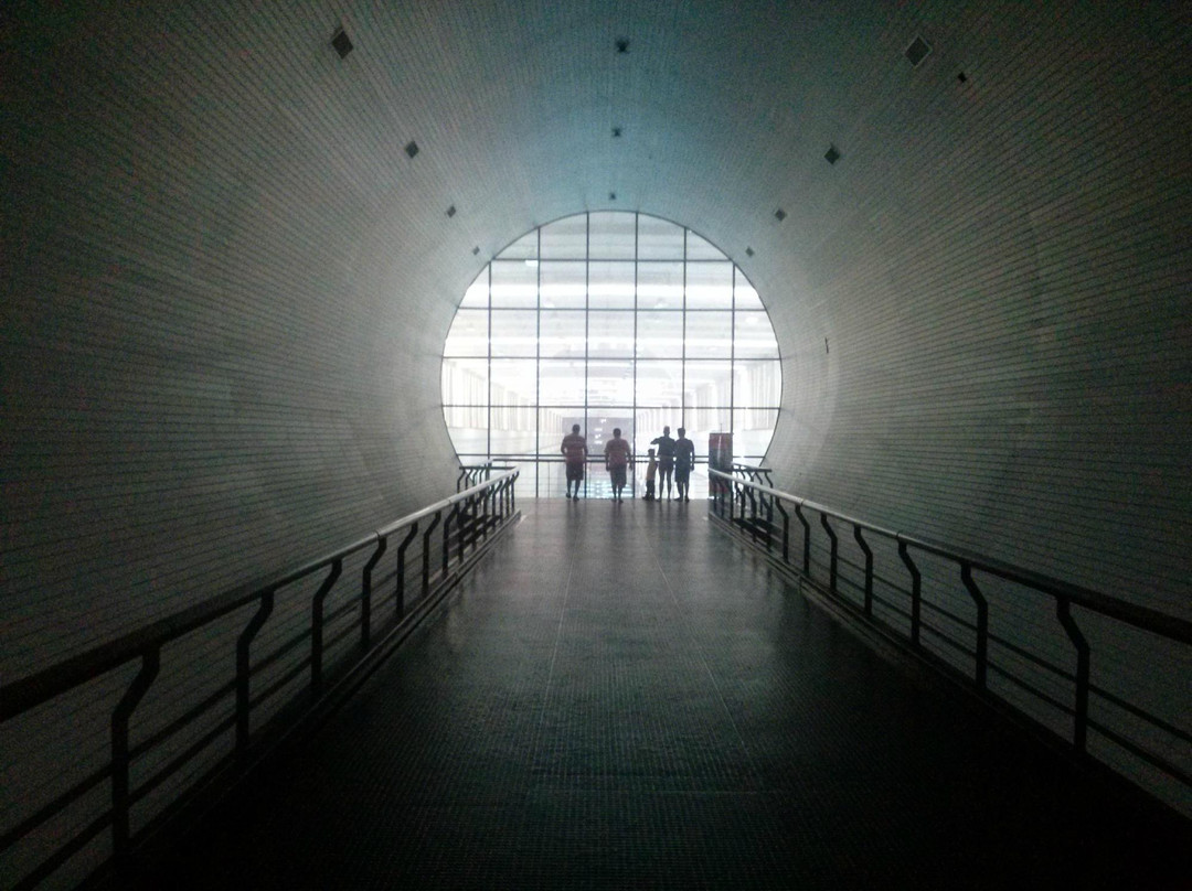 Eco Museo del Caroni-圭亚那城必去景点
