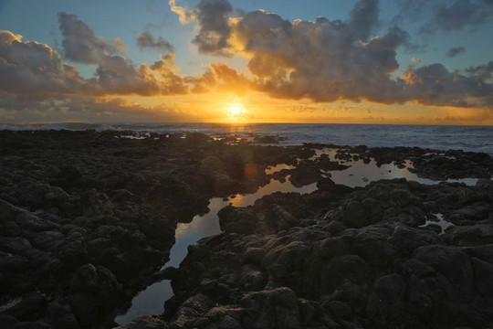 Blue Hawaii Photo Tours-火奴鲁鲁必去景点