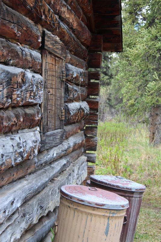Denali Natural History Tour-德纳利国家公园和自然保护区必去景点
