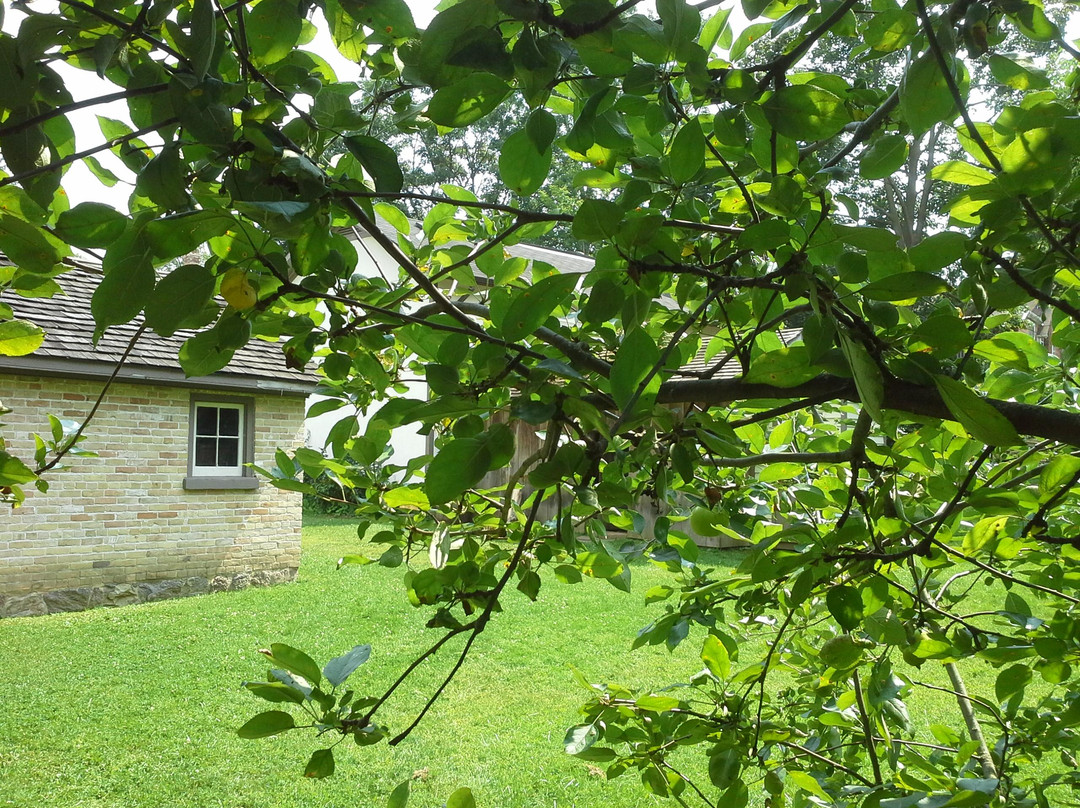 Schneider Haus National Historic Site景点图片