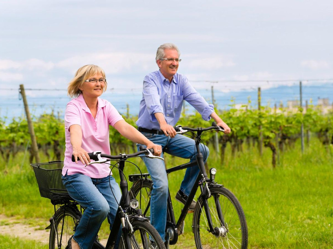 Feeling Mendoza-Chacras de Coria必去景点