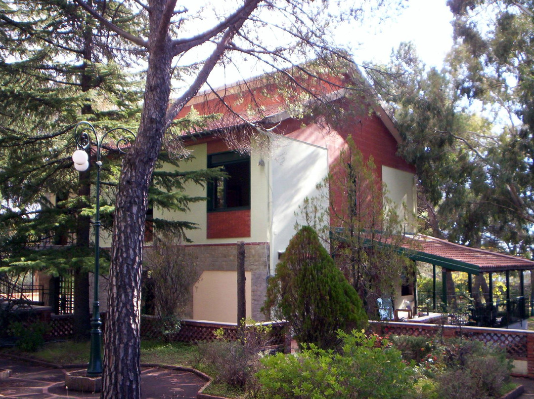 Pedara酒店住宿-Villa Morgante B&B