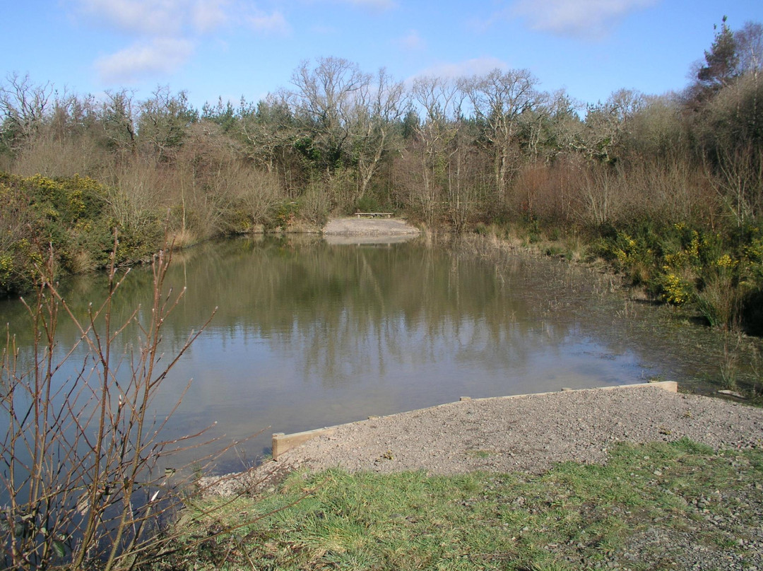 Meeth Quarry Nature Reserve-Hatherleigh必去景点