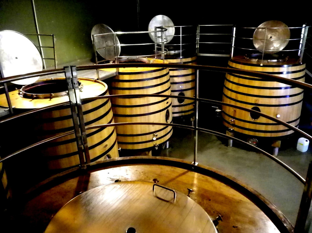 Bodegas Luis Canas景点图片