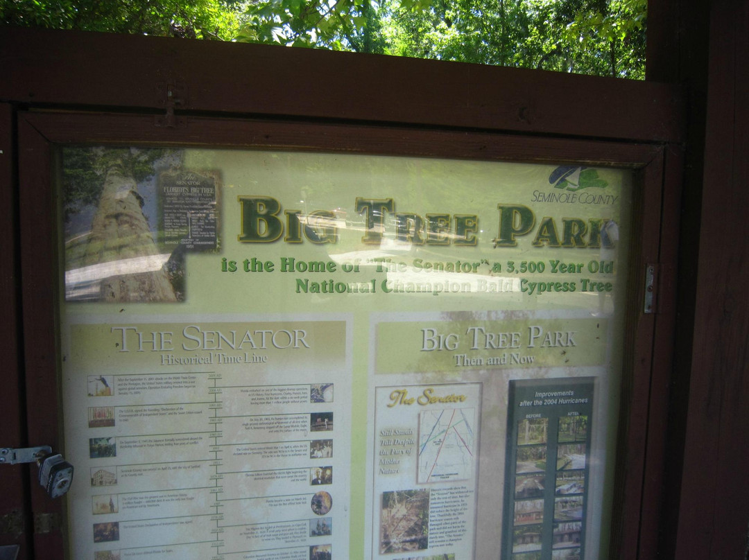 Big Tree Park-Longwood必去景点