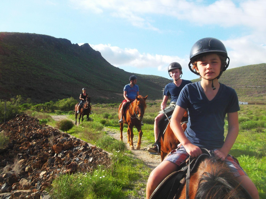 Horse Riding Adventures In Tenerife-圣米格尔德亚沃纳必去景点