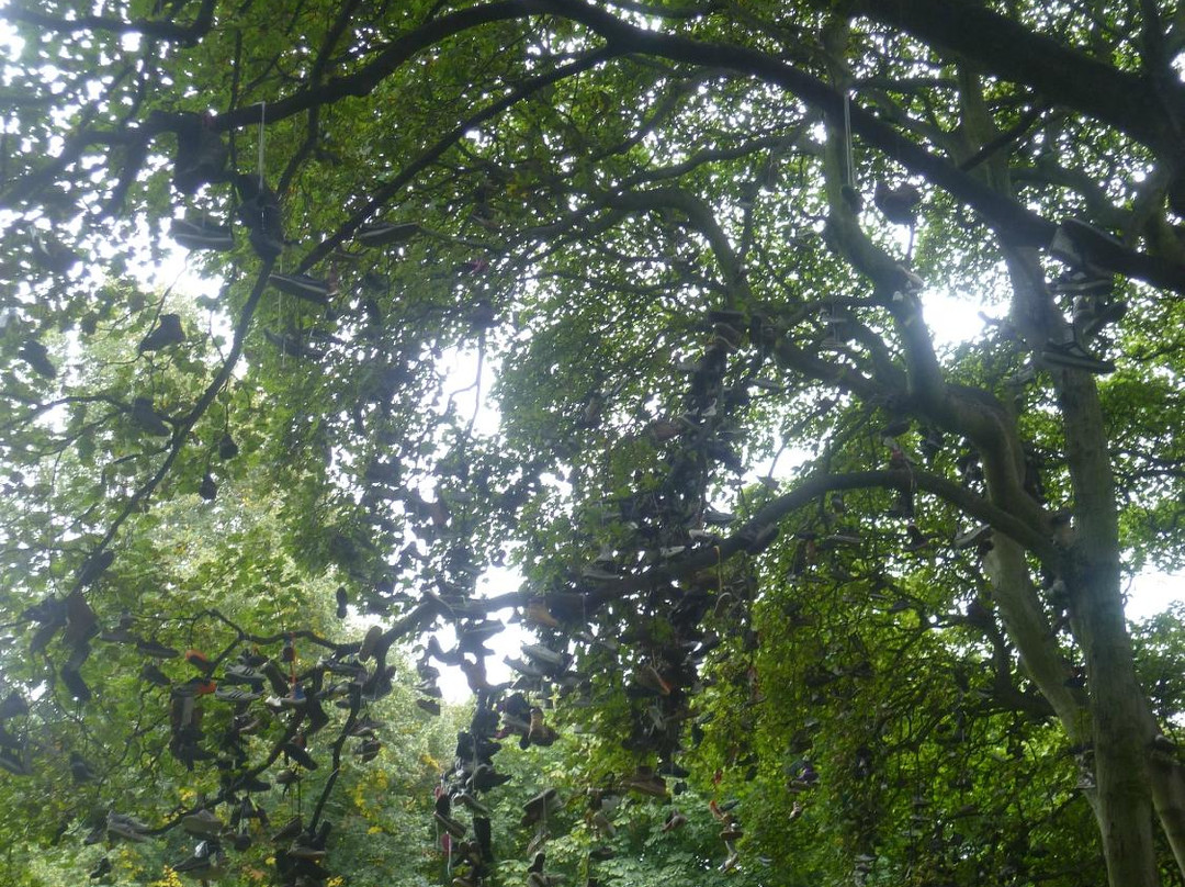 Heaton Park-纽卡斯尔必去景点