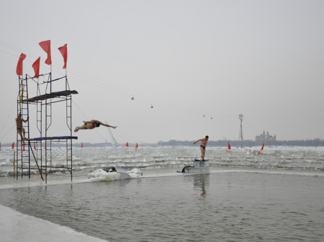 哈尔滨游泳馆-哈尔滨市必去景点