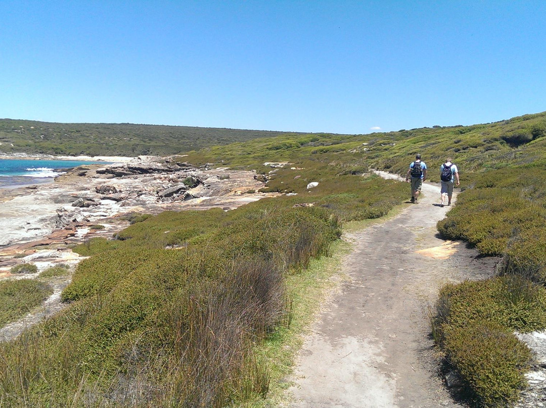 Sydney Coast Walks-悉尼必去景点