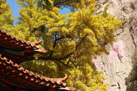 天桂山景点图片
