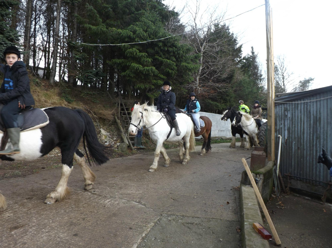 Springhill Farm Riding Stables景点图片