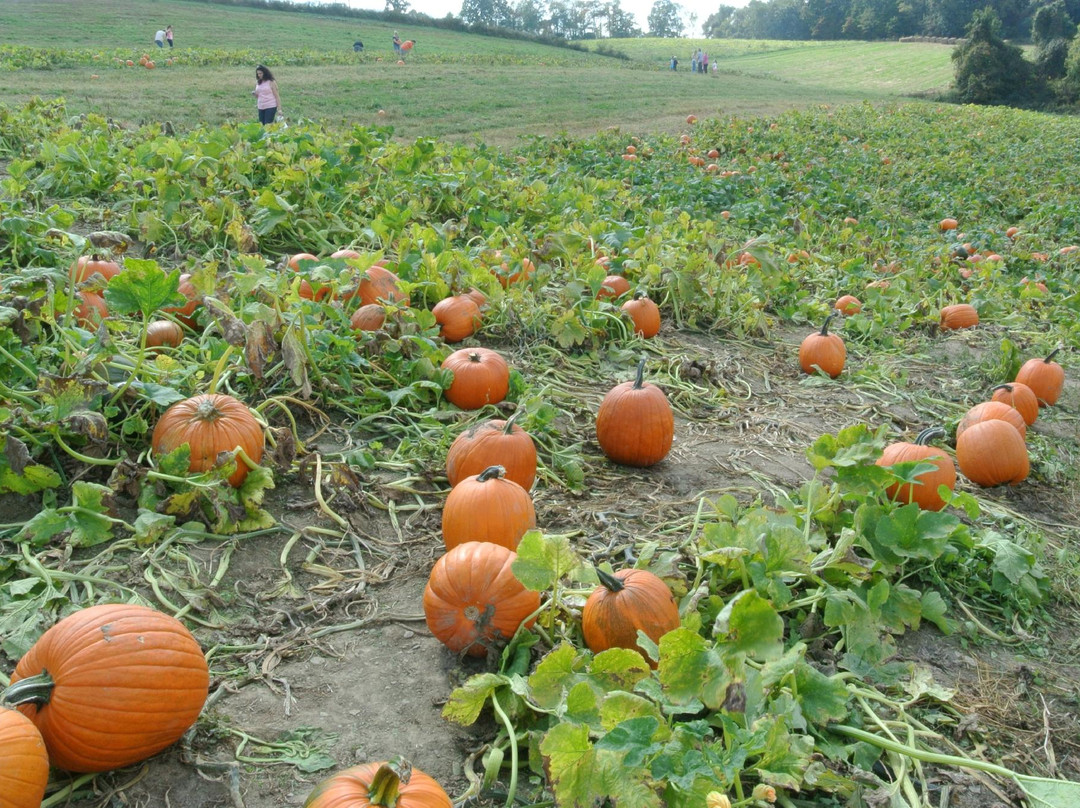 Triple B Farms-Monongahela必去景点