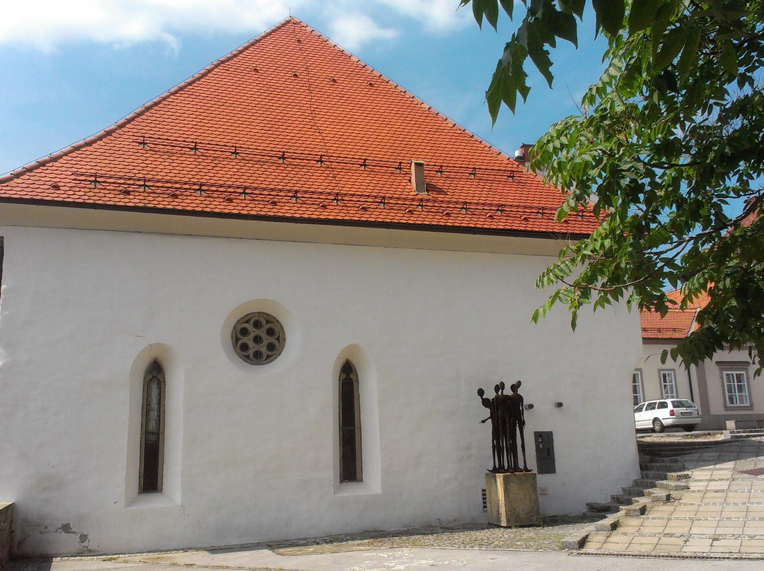 Sinagoga Maribor景点图片