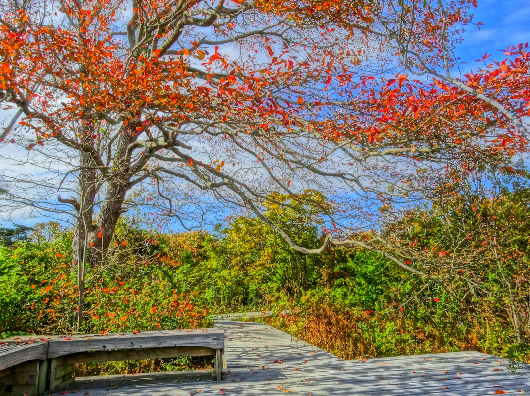 Allens Pond Wildlife Sanctuary景点图片