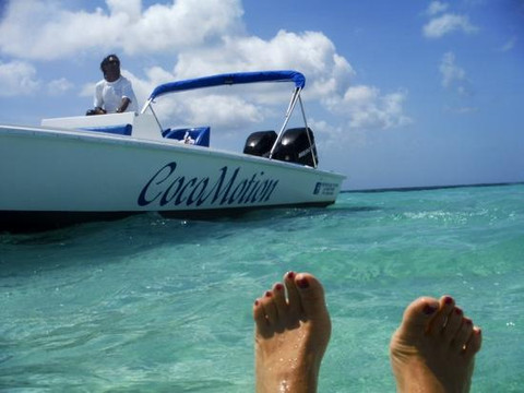 Coco Motion-低地必去景点