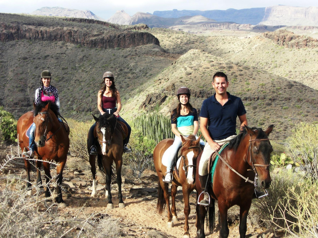El Salobre Horse Riding-马斯帕洛马斯必去景点