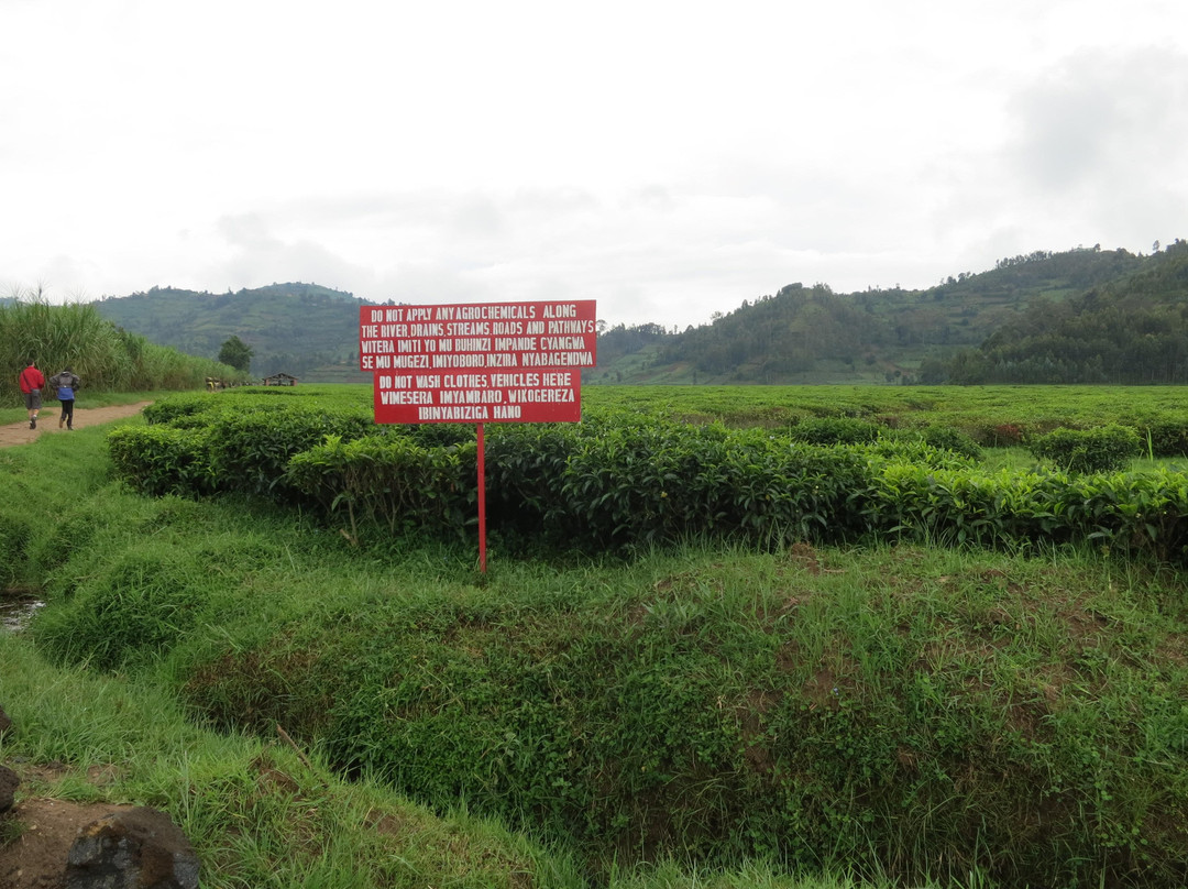 Rwandan Adventures-吉塞尼必去景点