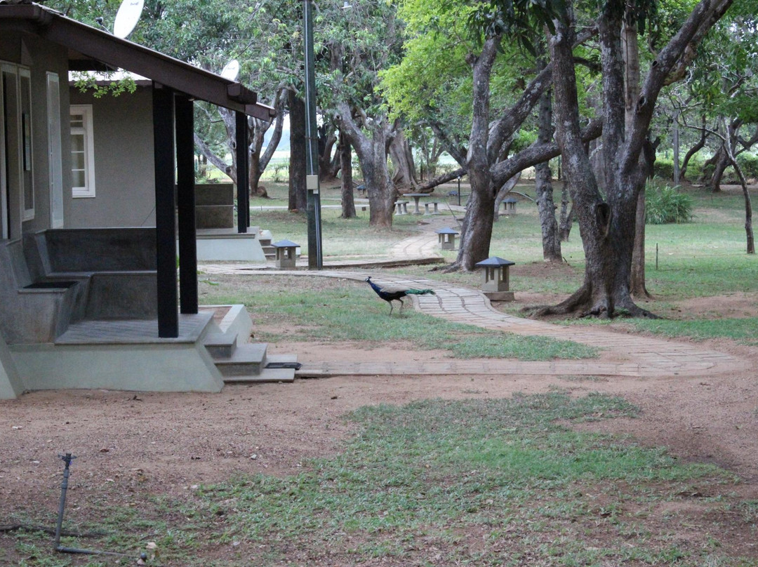 CIC Agri Resort - Windsor Park主图