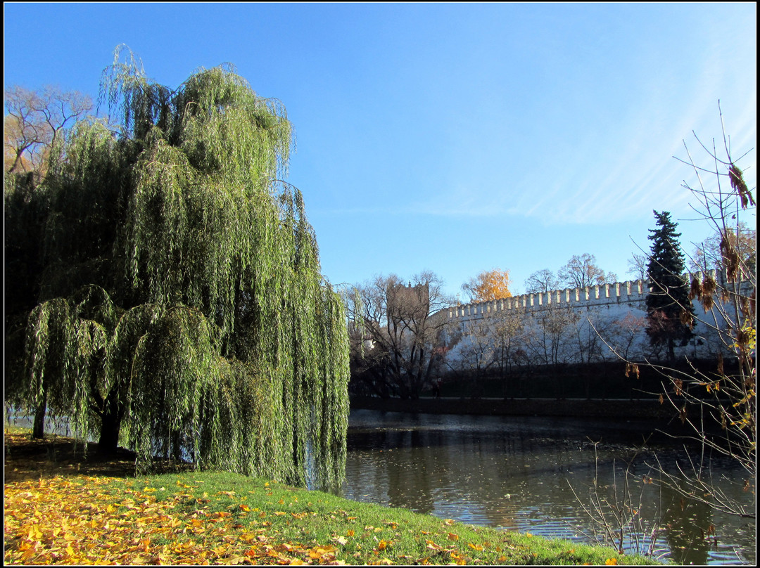 新圣女修道院公墓-莫斯科必去景点