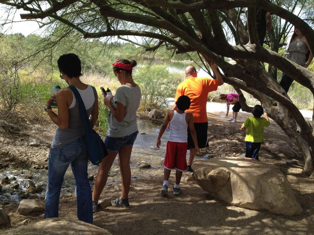 Freestone District Park-吉尔伯特必去景点