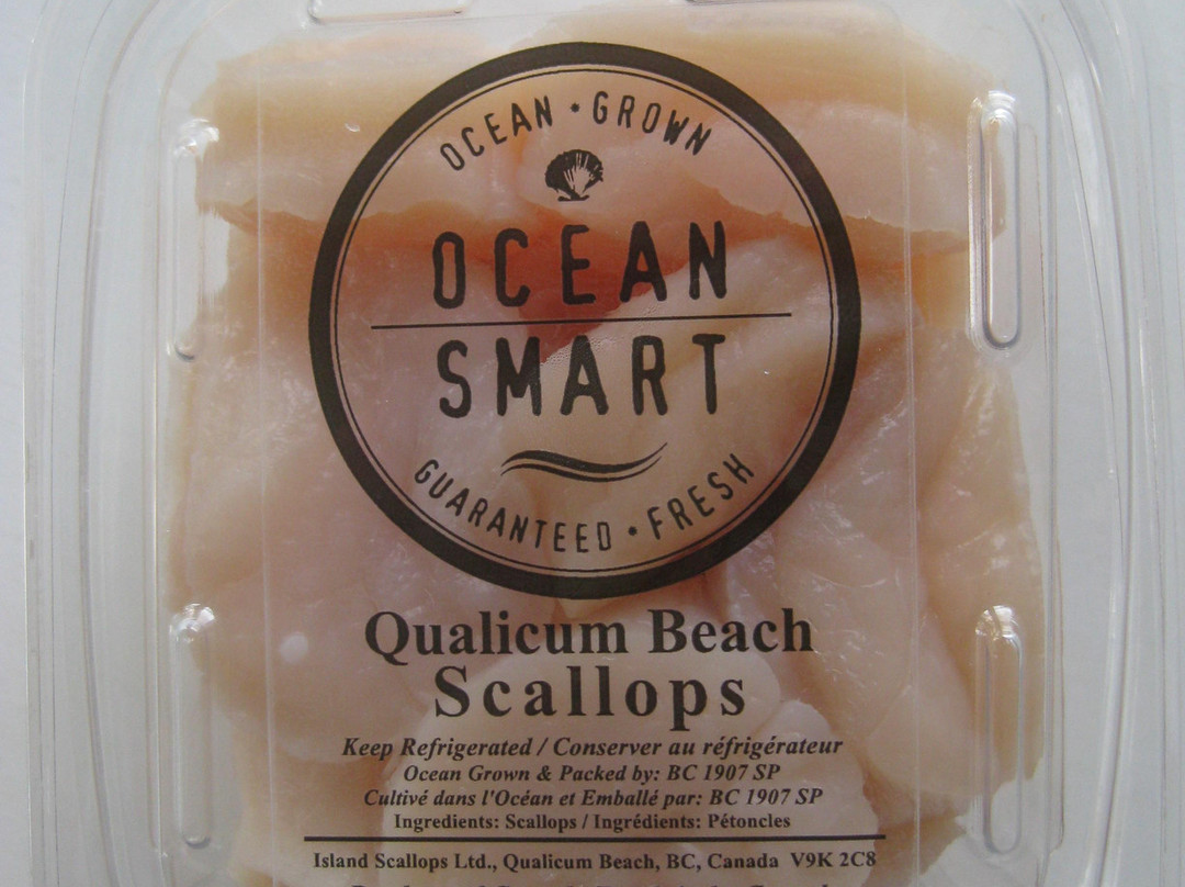 Island Scallops景点图片
