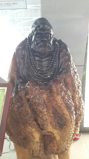 朝阳鸟化石国家地质公园-朝阳市必去景点