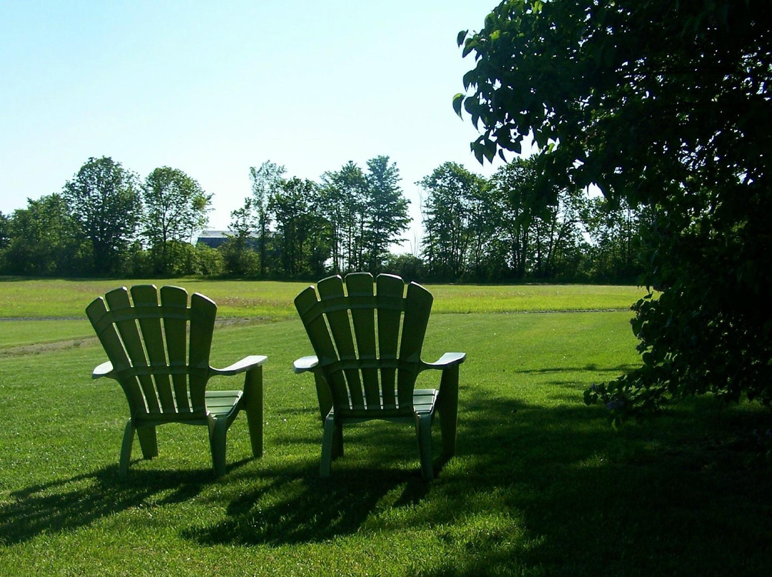 Stone Fountain Motel主图