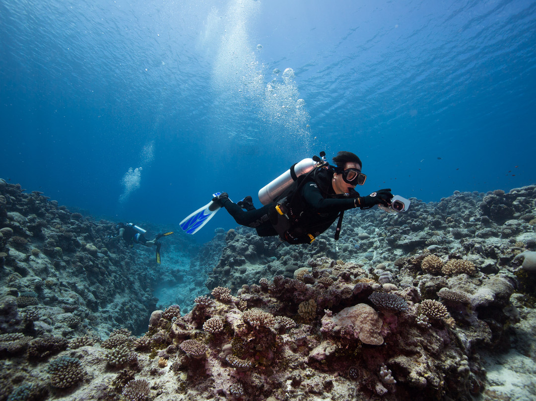 Niue Blue Island Experiences-阿洛菲必去景点